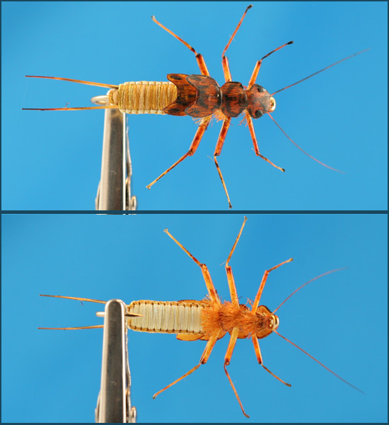 woven golden stonefly