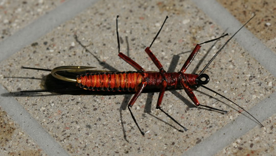Woven Stonefly