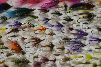 Hal Gordon's Fly Collection