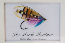 Bent Arild Mathiesen