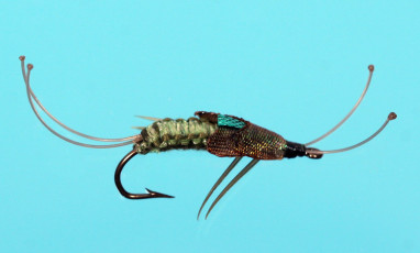 Joe Ayre - Woven Stonefly