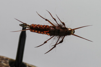 Woven Stonefly from Bill Wolford 