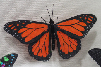 Jackson Leong's Butterfly