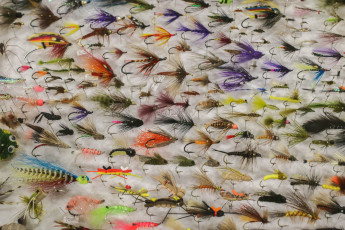 Hal Gordon Fly Collection