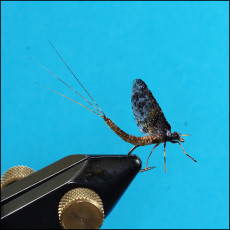 Woven Mayfly - Side