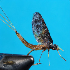 Woven Mayfly - Side 2