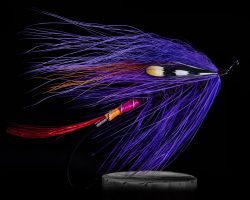 Purple Flame Brat by Dave McNeese