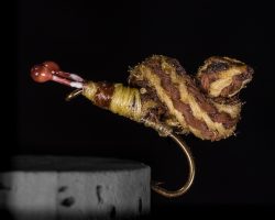 Snail by Henry Hoffman